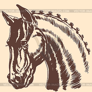 Thoroughbred horse head profile racing exhibition - stock vector clipart