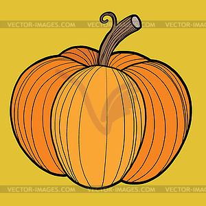 Ripe pumpkin, autumn harvest - vector image