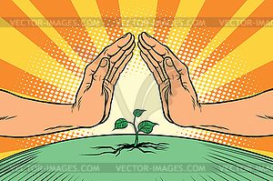 Human hands protecting green sprout, environment an - vector clipart