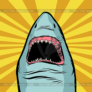 Shark ocean predator. Marine fish and water parks - vector image