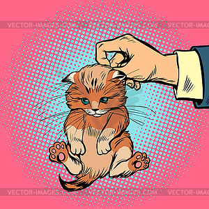 Ручной котенок держит скруб - графика в векторе