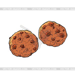 Chocolate chip cookies isolate - vector image