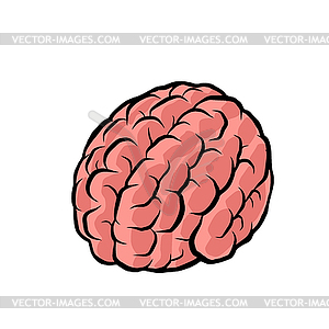 Brain. intelligence of human mind - vector clip art