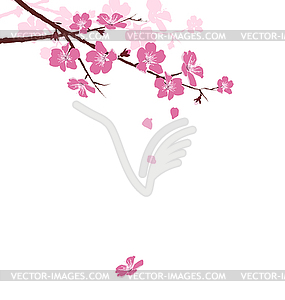 Cherry branch with flowers - royalty-free vector image