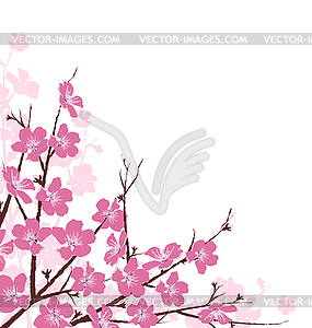 Branches with Pink Flowers - vector clipart