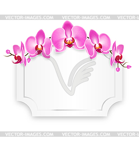 Розовые цветки орхидеи с празднованием Рамка - векторный клипарт EPS