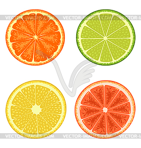 Citrus set - vector clip art