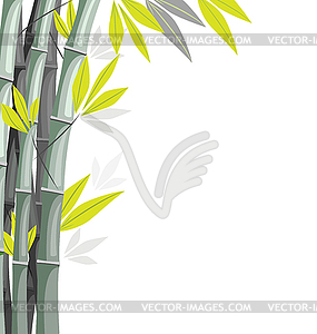 Bamboo - vector image