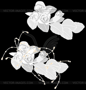 Белые розы на черном - клипарт в векторе