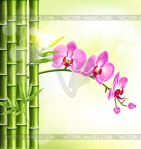 Orchid pink flowers with bamboo and sunlight on - vector clipart