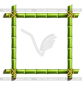 Green bamboo frame - vector image
