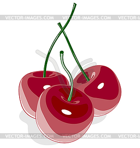 Red sweet cherry - vector clipart