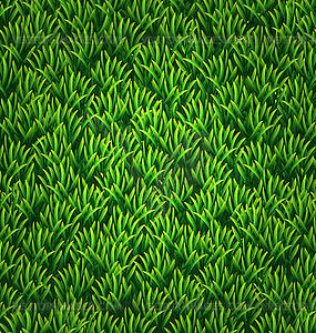 Green grass texture. Floral nature spring background - vector image