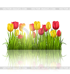 Green grass lawn with tulips sunlight and reflectio - vector clip art