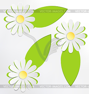 Three cutout chamomiles with frames for text on - vector clipart