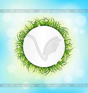 Circle frame with green grass, chamomiles on sky - vector image