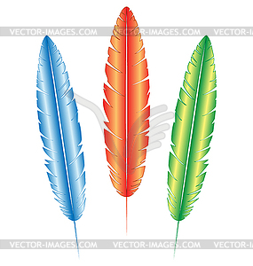 Разноцветные перья - векторный графический клипарт