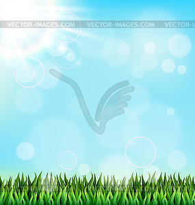 Green grass lawn with sunlight on blue sky. Floral - vector clipart