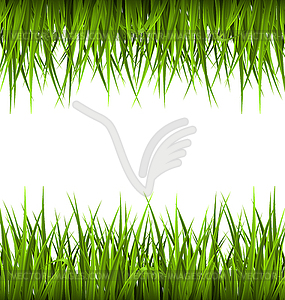 Green grass like frame . Floral eco nature - vector image