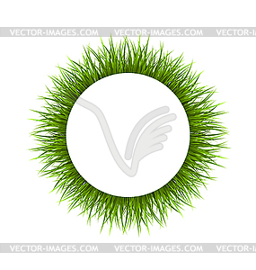 Frame with green grass. Floral nature background - vector clipart