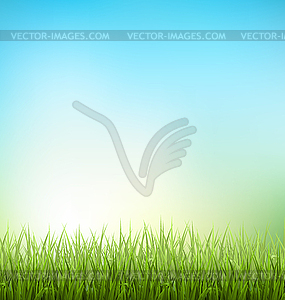 Green grass lawn with sunrise on sky. Floral - vector clipart