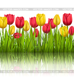 Green grass lawn with tulips sunlight and reflectio - color vector clipart