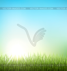 Green grass lawn with sunrise on sky. Floral - vector clipart