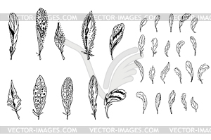 Feathers. Black and white. For your design, - vector clip art