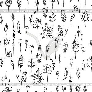 Seamless pattern with floral seeds.Black and - vector clip art