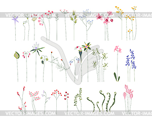 Collection of different stylized flowers - vector image