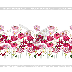 Seamless pattern brush with herbs, daisy,gerbera an - vector image