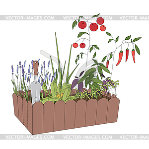 Container with growing vegetables and tools - vector image