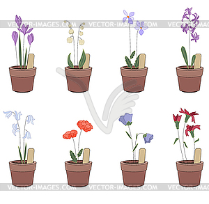 Flower pots with flowers - iris, hyacinthus, - royalty-free vector image