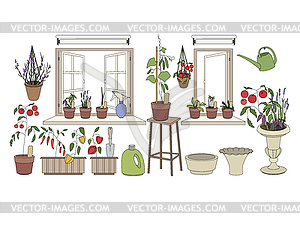 Flower pots with herbs and vegetables. Plants - vector image