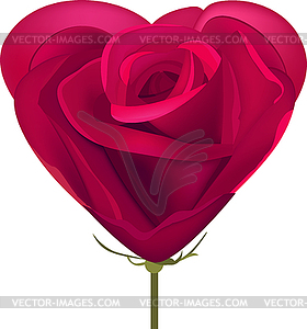 Heart made of red rose - vector clip art