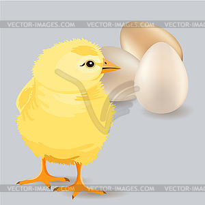 Small yellow chicken - vector image