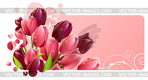 Tulip flowers - vector clipart