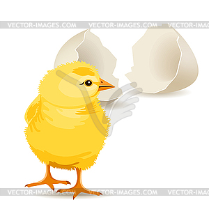 Small yellow chicken - royalty-free vector clipart