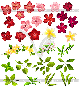 Collection of different flowers and leaves - vector clipart