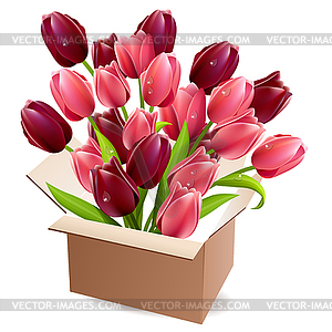 Open box full of tulips - vector clip art