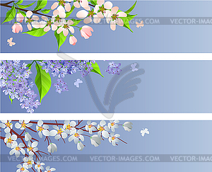 Set of blossoming branches - royalty-free vector image