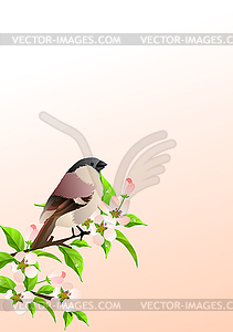 Background with sparrow - vector image