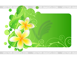Frame with green leaves and frangipani - vector image