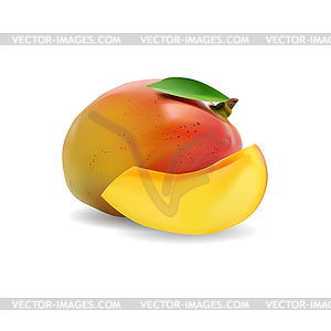 Mango. Realistic  - vector clip art