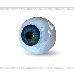 Eye ball - vector clipart