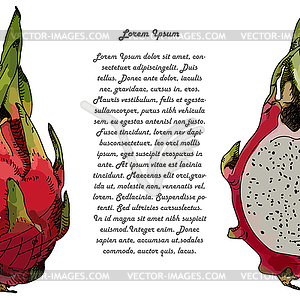 Dragon fruit or pitahaya. With text - vector clipart