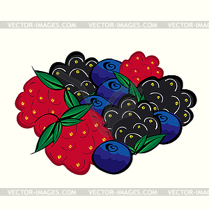 Ripe forest berries raspberries blueberries - vector image