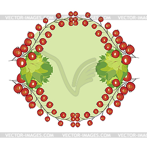 Berries currants label - vector image
