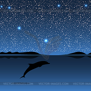 Dolphin sea animal night landscape - vector image