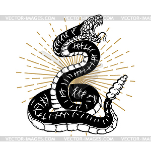 Змея. Элемент дизайна для плаката, баннера, футболки - цветной векторный клипарт